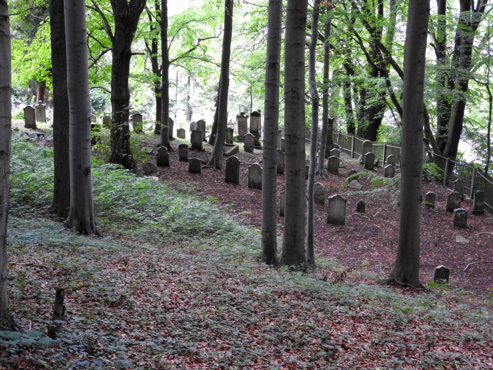 Jewish cemetery Bleicherode 5