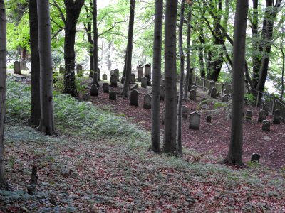 Jewish cemetery Bleicherode 5