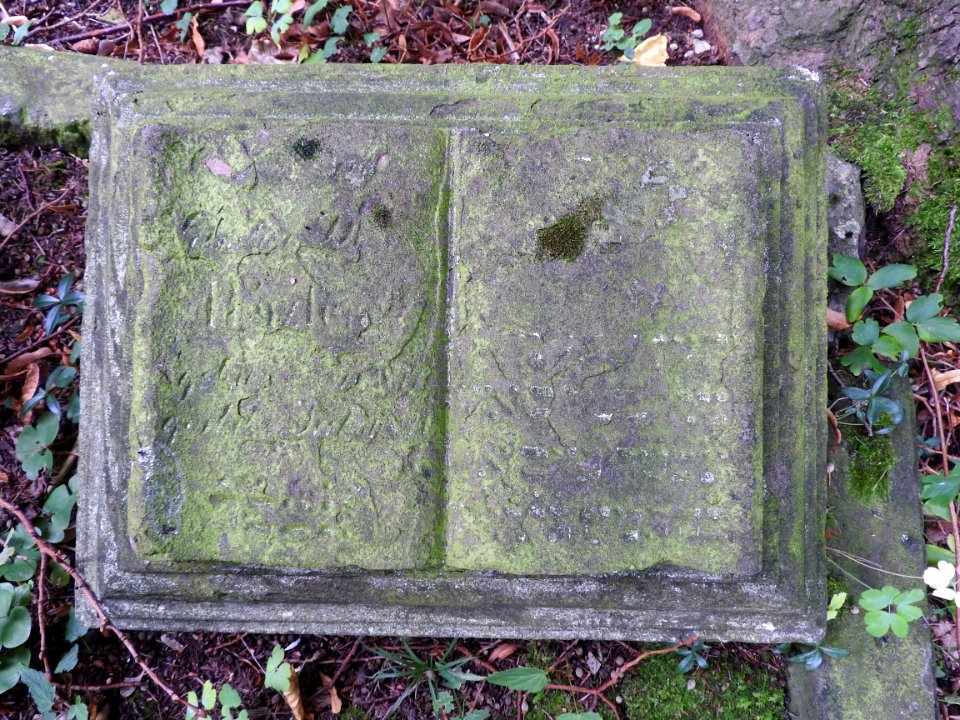 Jewish cemetery Bleicherode 58