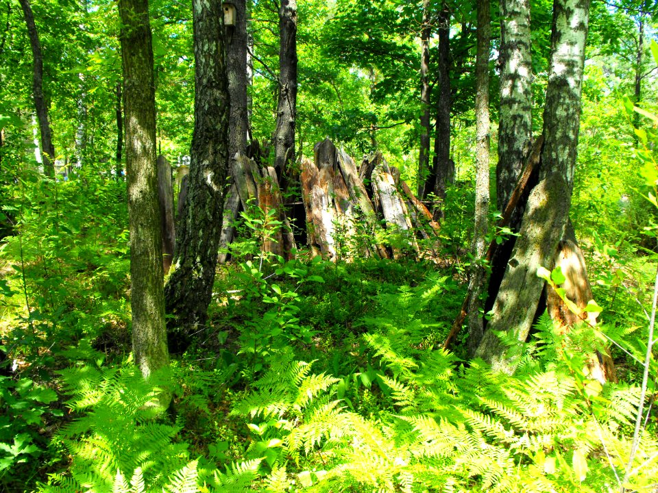 Jewish cemeteries in Lenin (Zhytkavichy district) 1m