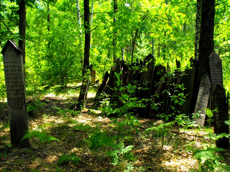 Jewish cemeteries in Lenin (Zhytkavichy district) 1h