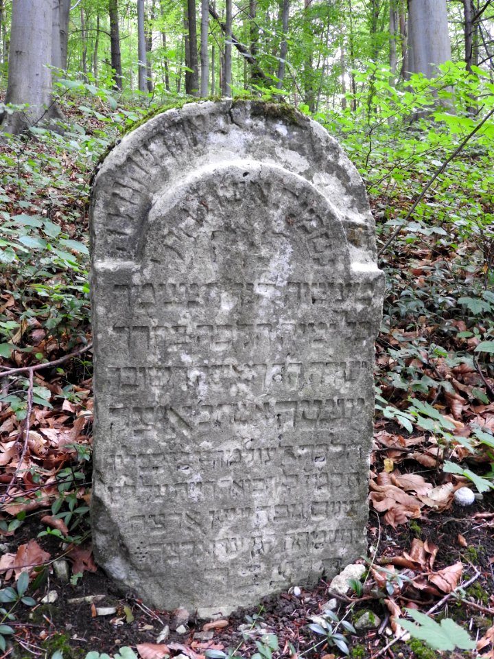 Jewish cemetery Bleicherode 9