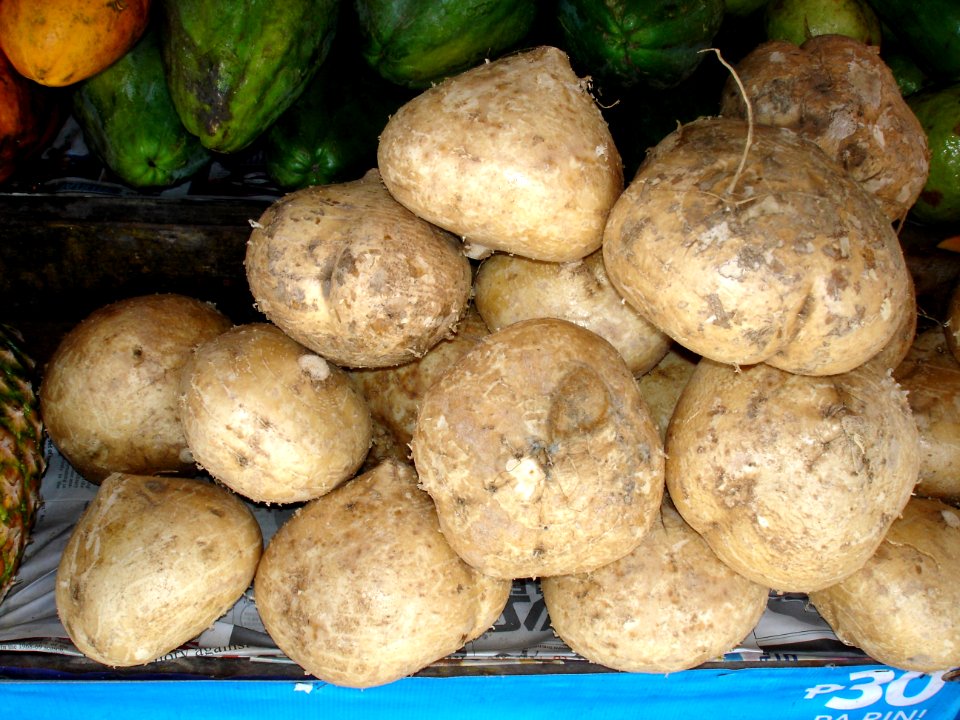 Jicama tubers marketed Davao
