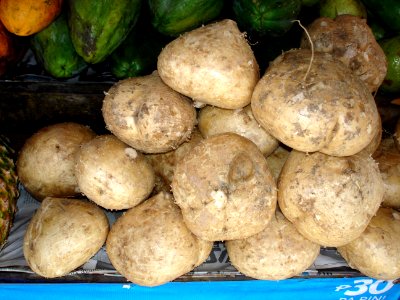 Jicama tubers marketed Davao