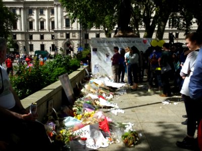 Jo Cox 1450