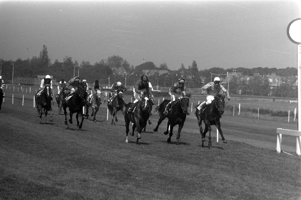 Jockey Manescu met Possberg, Bestanddeelnr 925-6605