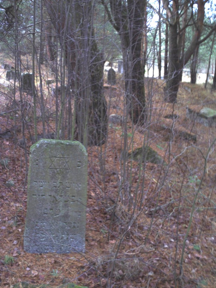 Jewish cemeteries in Vileyka 48