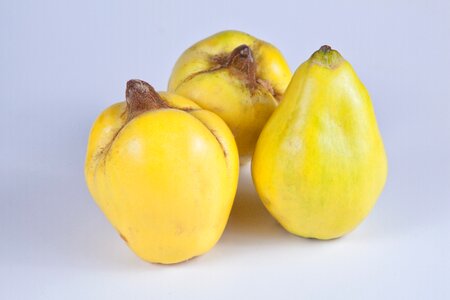 Pome fruit fruit quince fruit