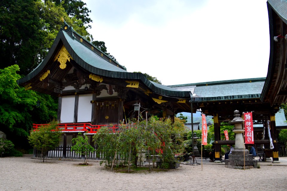 Jogu-jinja honden
