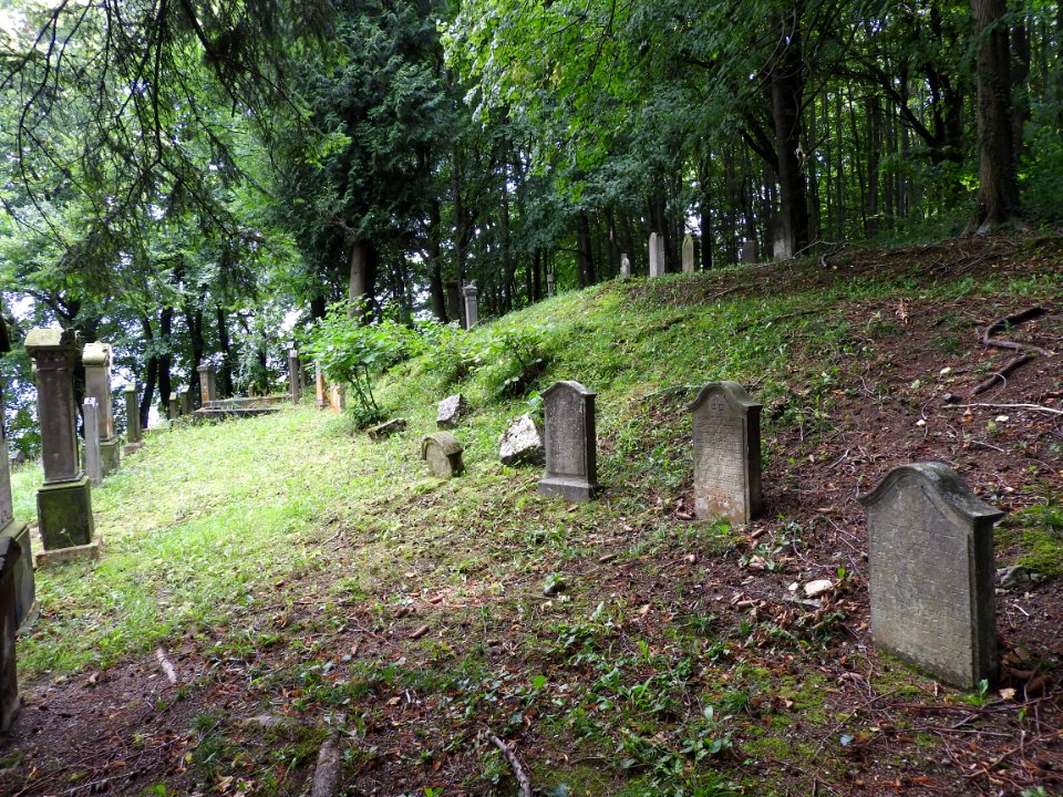 Jewish cemetery Bleicherode 59