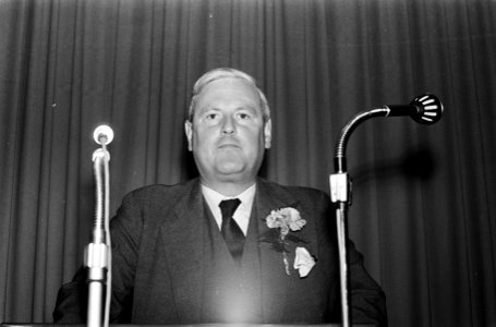Jhr Mr LHNFM Bosch ridder van Rosenthal, burgemeester van Rhenen, waarnem, Bestanddeelnr 915-0745