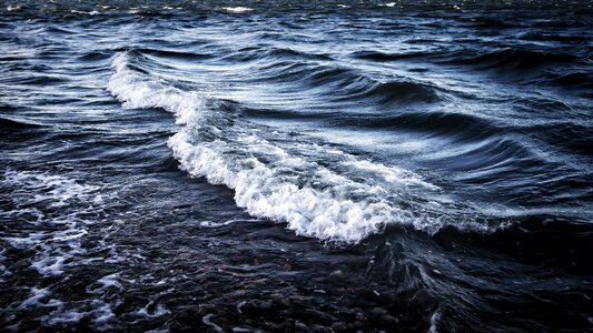 Seaside finnish nature