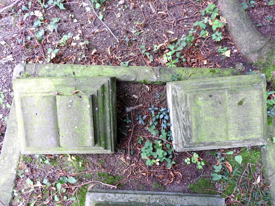 Jewish cemetery Bleicherode 56