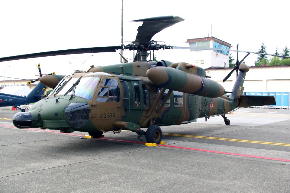 JGSDF UH-60JA 20090822-01