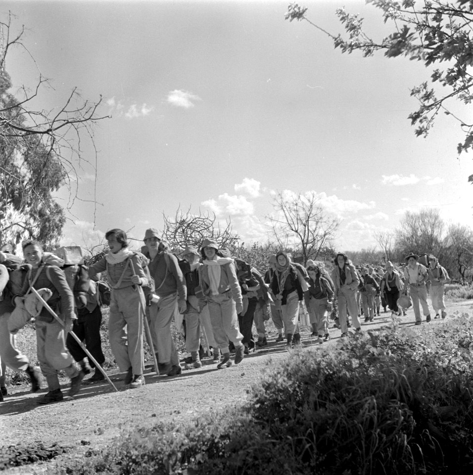 Jeugd die van kibboets naar kibboets trekt om het land te leren kennen en te hel, Bestanddeelnr 255-0462