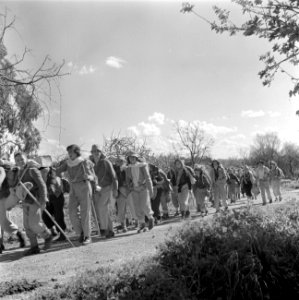 Jeugd die van kibboets naar kibboets trekt om het land te leren kennen en te hel, Bestanddeelnr 255-0462