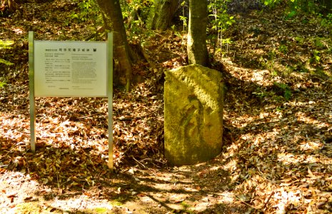 Jinshaku-ji, itahi