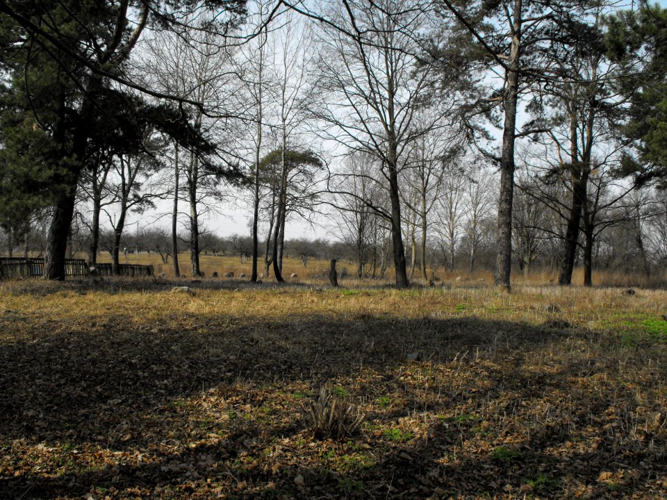 Jewish cemeteries in Grozovo 1a