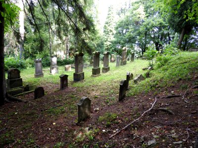 Jewish cemetery Bleicherode 60