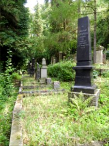 Jewish cemetery Bleicherode 51
