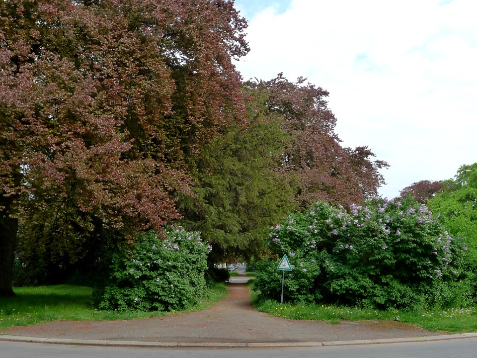 Johannaplatz Berlin-Grunewald