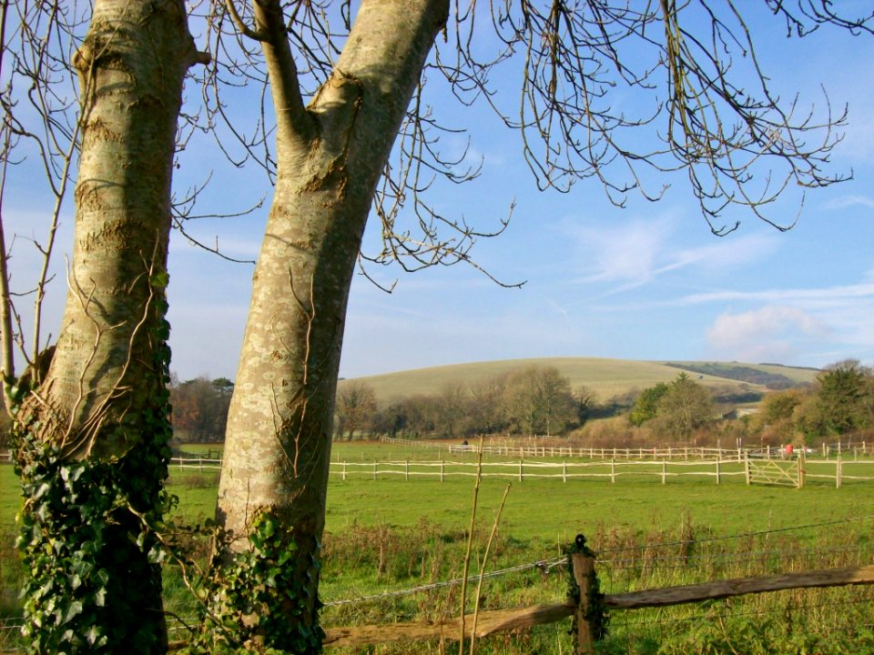 Jevington, view of South Downs