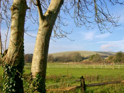 Jevington, view of South Downs