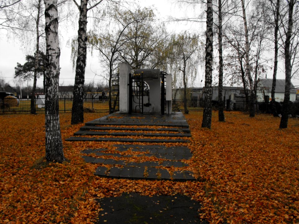 Jewish cemetery Baranovichi st Chernyshevskogo 2f