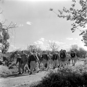 Jeugd die van kibboets naar kibboets trekt om het land te leren kennen en te hel, Bestanddeelnr 255-0464
