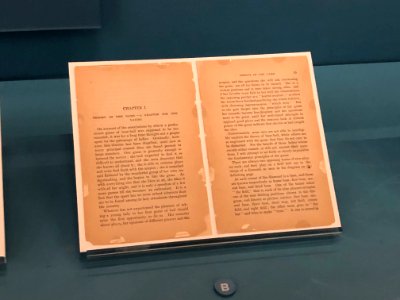 John Montgomery Ward - How to Become a Player, Library of Congress Baseball Americana, April 2019