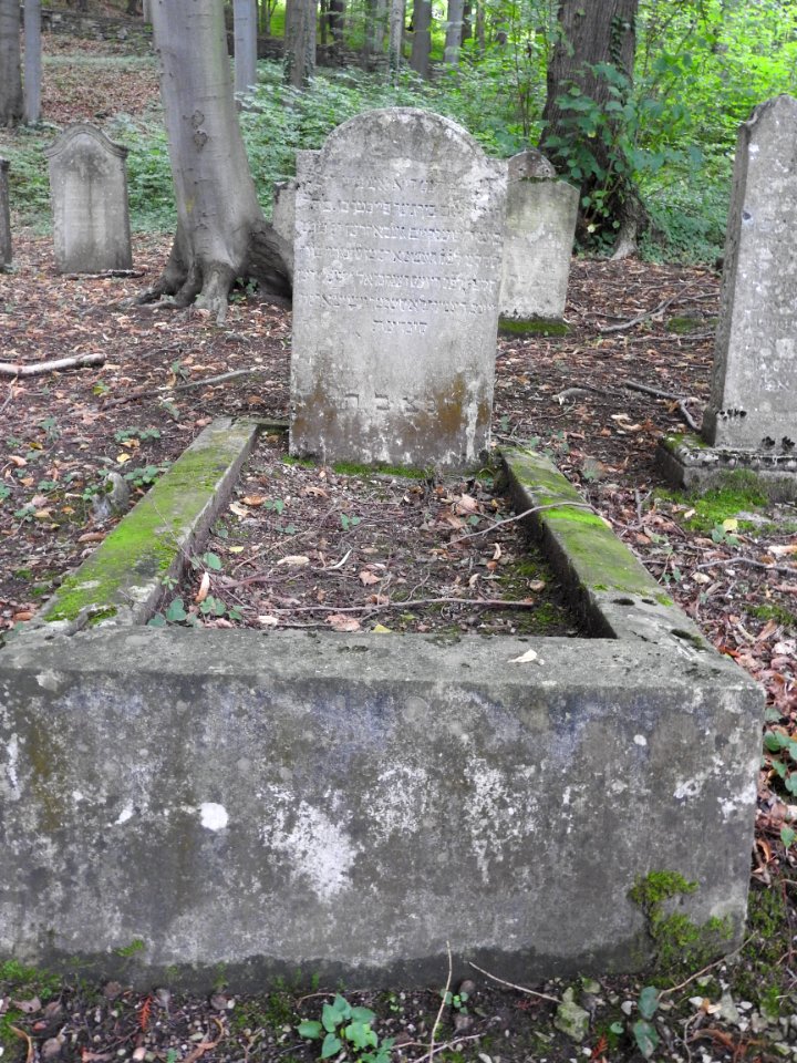Jewish cemetery Bleicherode 16