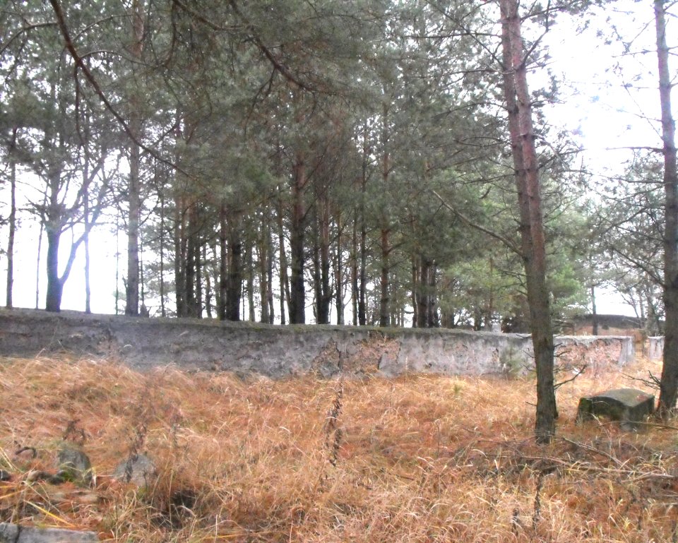 Jewish cemeteries in Vileyka 14