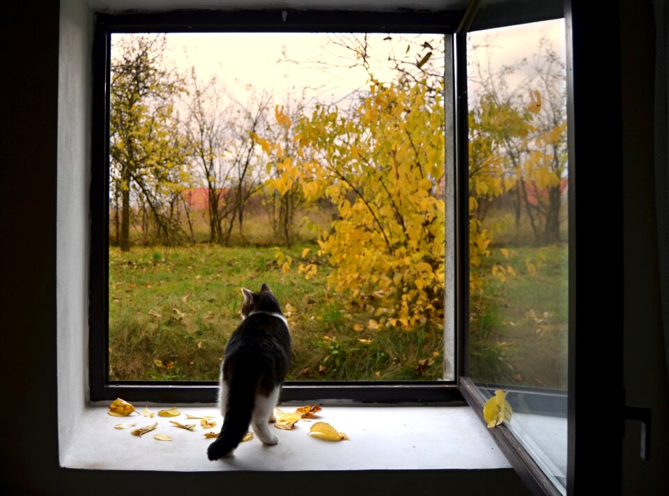 Leaves view waiting