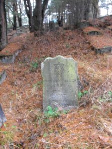 Jewish cemeteries in Vileyka 31