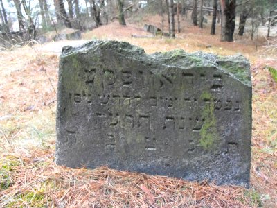 Jewish cemeteries in Vileyka 29