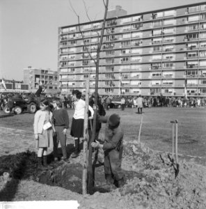 Jeugd plantte nieuwe bomen in het park aan de Pascalweg, Bestanddeelnr 917-5966