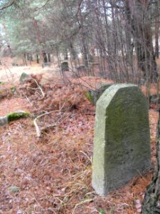 Jewish cemeteries in Vileyka 05