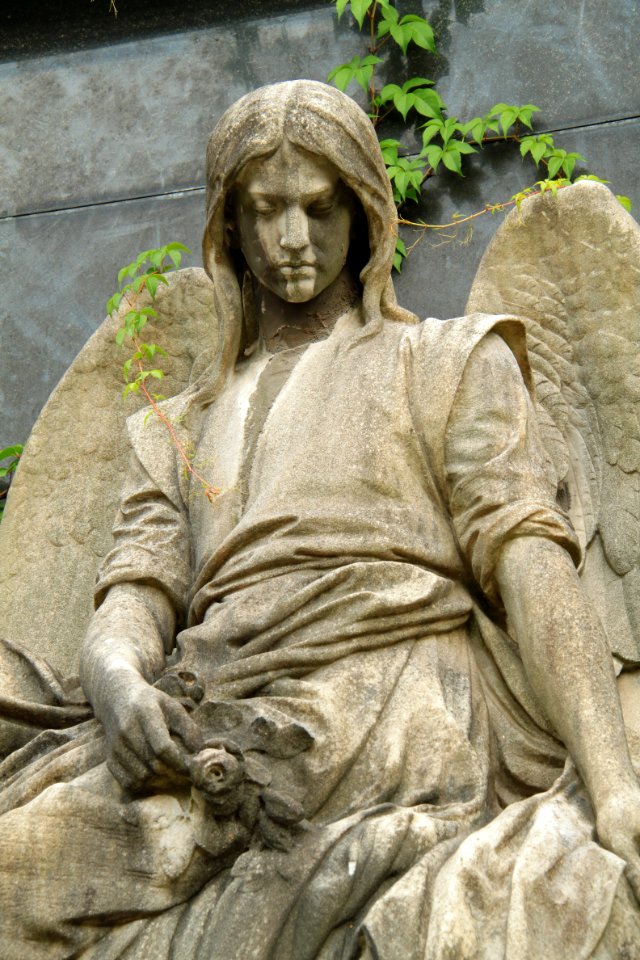 Johannisfriedhof Dresden 2012-08-28-0120