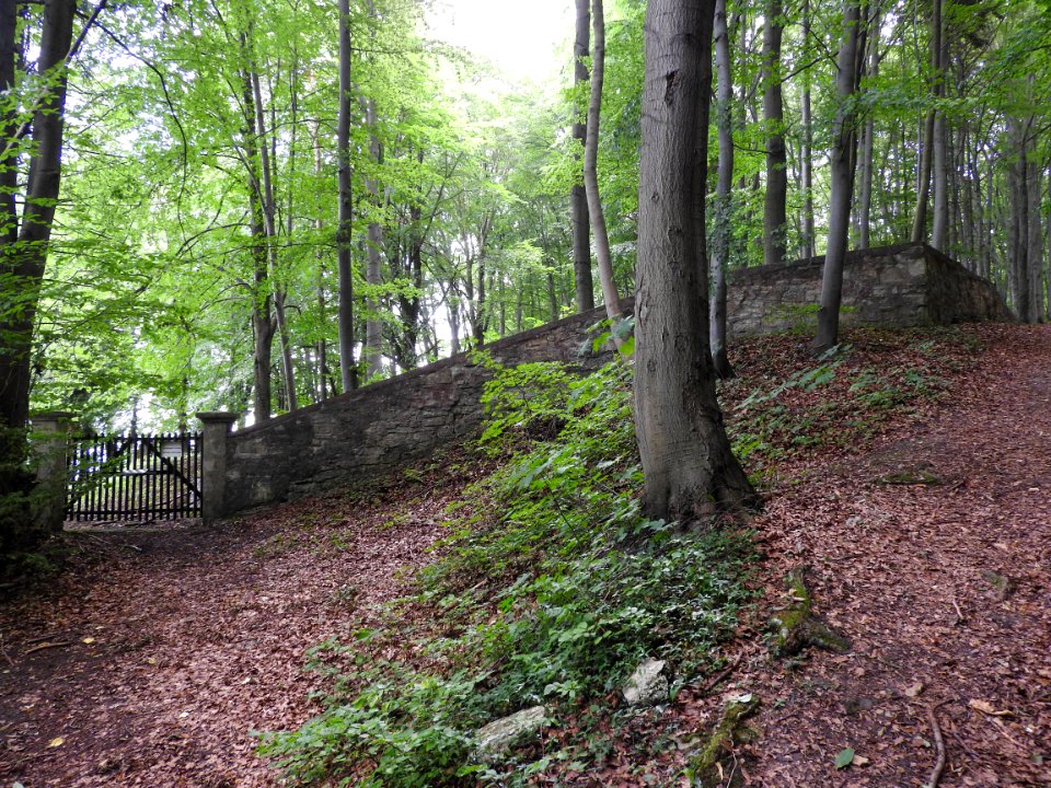 Jewish cemetery Bleicherode 1