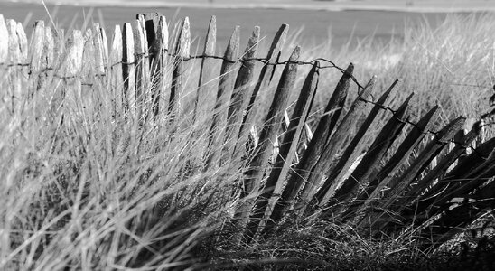 Beach sand side photo