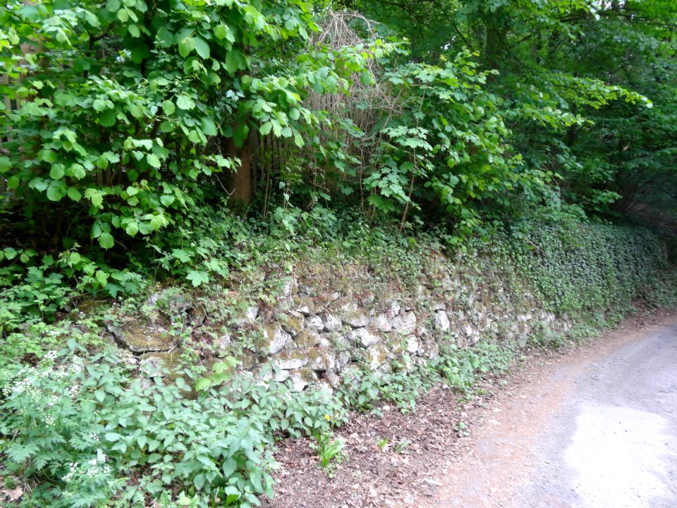 Jewish Cemetery Bad Frankenhausen 9