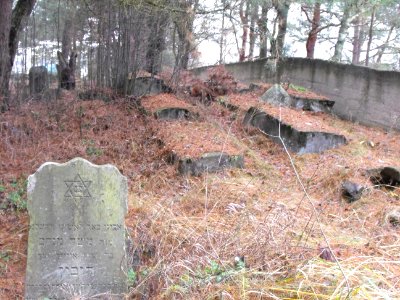 Jewish cemeteries in Vileyka 28