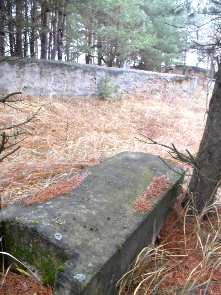 Jewish cemeteries in Vileyka 13