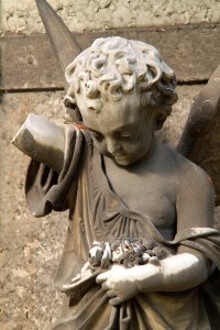 Johannisfriedhof Dresden 2012-08-28-0145