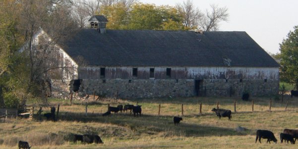 John Frydrych farmstead barn from SE 1