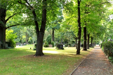 Johannisfriedhof Dresden 2012-08-28-0141