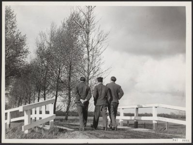Jeugdcriminaliteit, tehuizen, Bergveen tehuis, Bestanddeelnr 047-0088