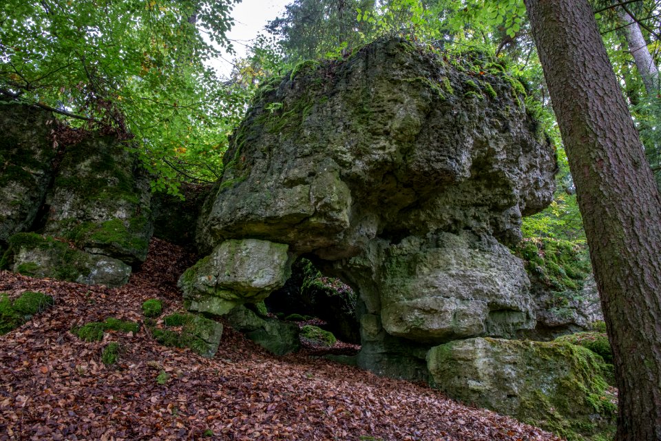 Kälberschlaghöhle (A 14) 79