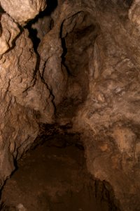 Kälberschlaghöhle (A 14) 68