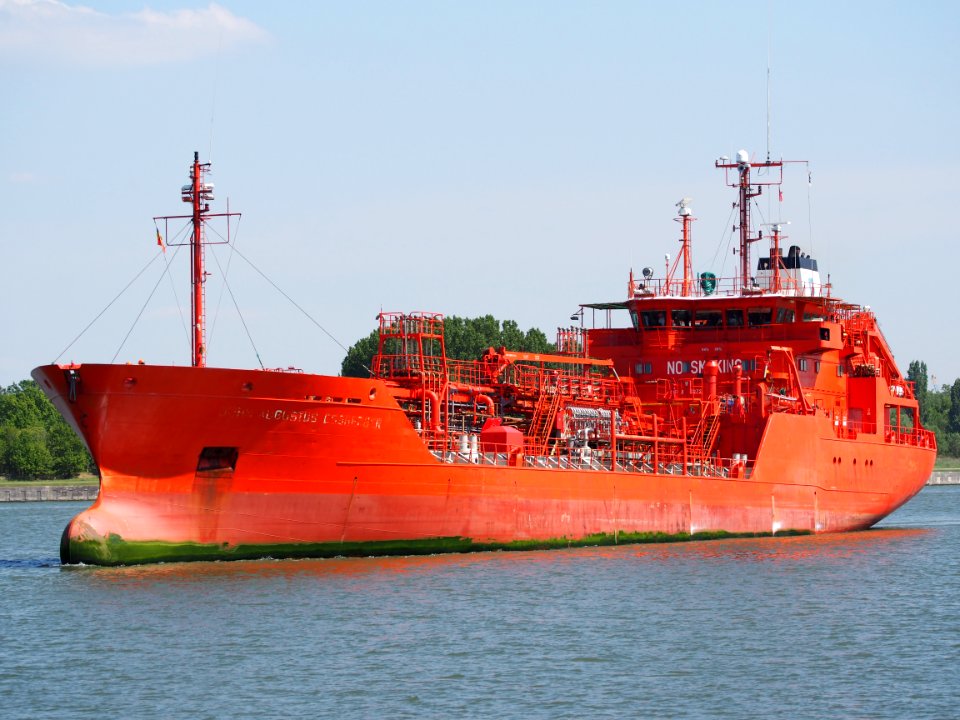 John Augustus Essberger - IMO 9036272, Berendrechtlock, Port of Antwerp, pic2